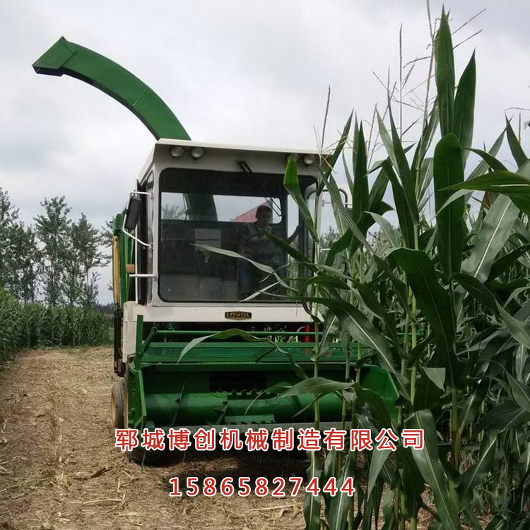 地滚dao青储机